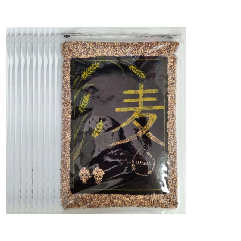 新麦 令和6年産 もち麦 国産 岡山県産 ダイシモチ 950gｘ10袋 チャック付き　脱酸素剤入り