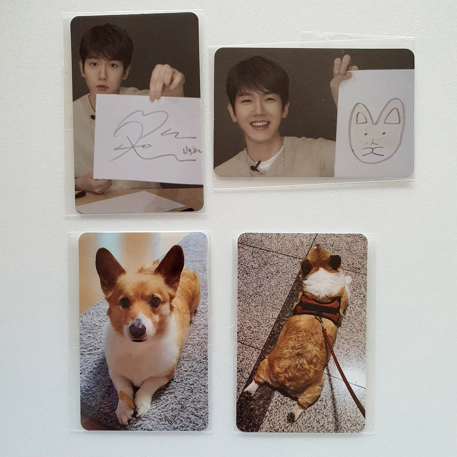 BAEKHYUN TEO-LAE-GI POP-UP STORE PHOTOCARD SET