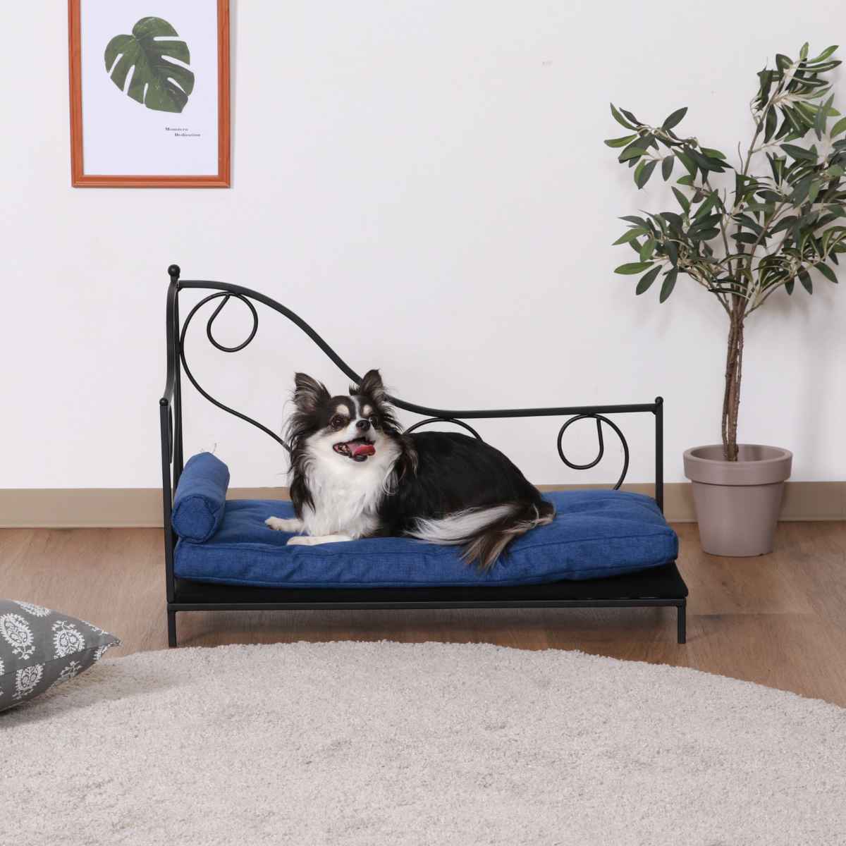 ペットベッド 幅68cm スチールフレーム クッション ペットソファ 犬 猫 ペット家具 ペット用 ベッド ソファー アイアンフレーム アンティーク調 ロータイプ 小型犬 中型犬 おしゃれ
