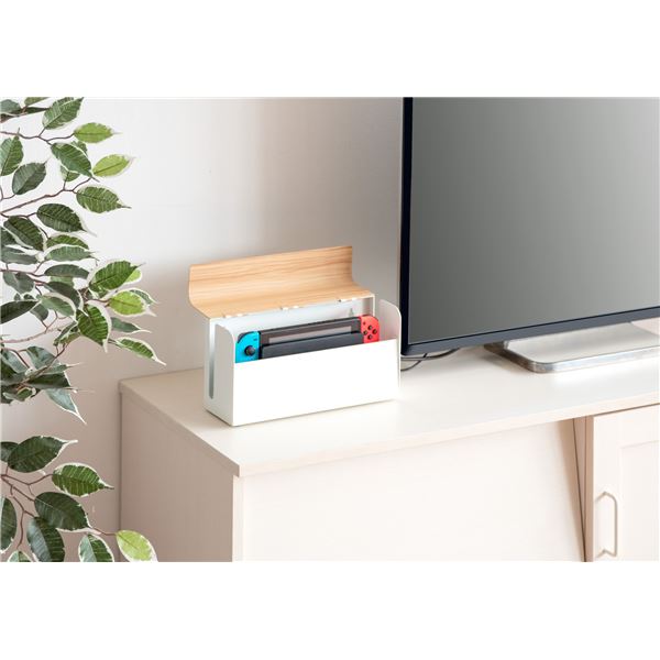 TEERゲーム機ケース 約幅28x奥行き9x高さ14cm ナチュラル 完成品 4,651円