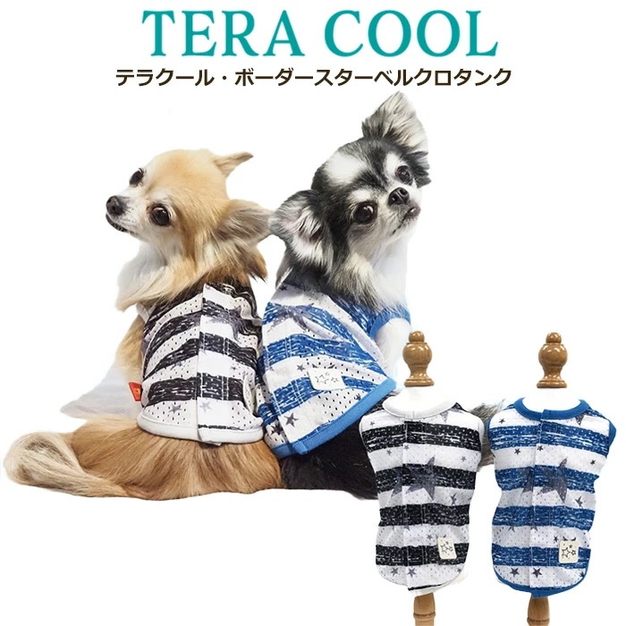 テラクール・ボーダースターベルクロタンク 小さめ 犬用 タンクトップ夏用 小型犬 シニア犬 日本製 クークチュール リカバリーウェア 1メ-2運 12482 【T】