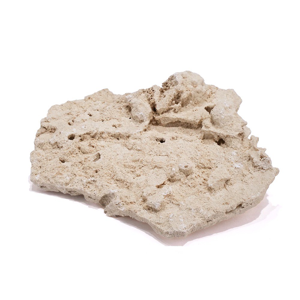 マルコロック　シェルフ　Ｍサイズ　１個　サンゴ　石　海水　水槽　飾り　レイアウト　ＣＲＣ21―20―90―00―00 8,863円