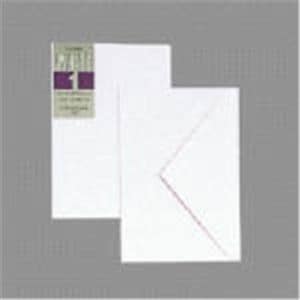（業務用20セット）菅公工業 洋封筒ホワイトカスタム1 ヨ181 洋1 枠無