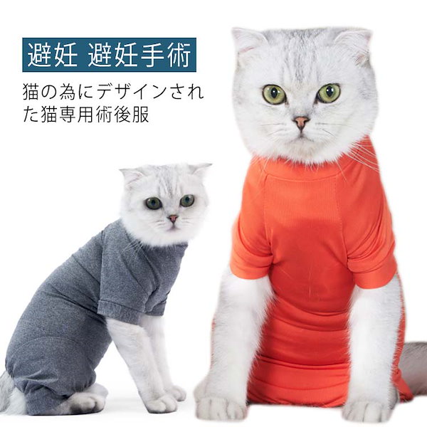 Qoo10] 【送料無料】猫用術後服 介護服 術後服