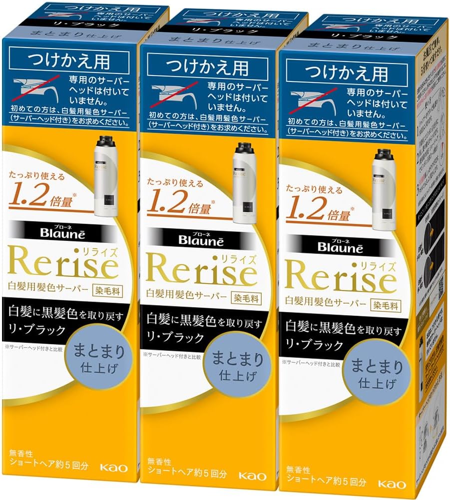 リライズ 3点セット 白髪用髪色サーバー リ・ブラック 自然な黒さ まとまり仕上げ つけかえ190ｇ×3個