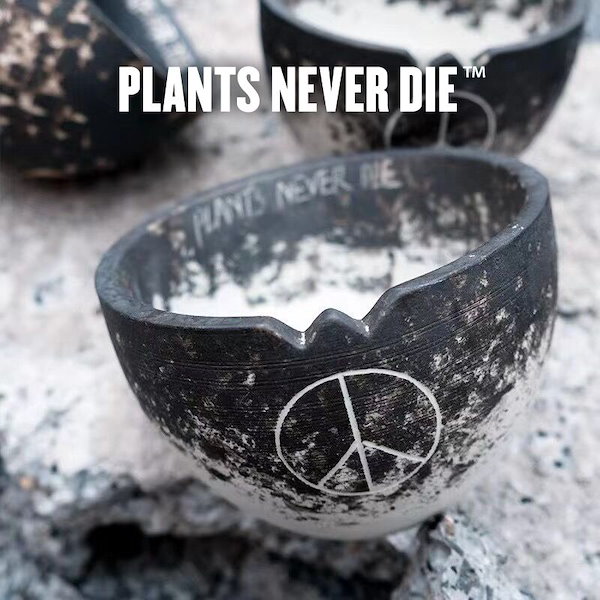 [Qoo10] 【plants never die】【正