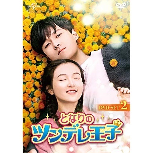 となりのツンデレ王子 DVD-SET2 ／ チャン・ユージェン (DVD) GNBF-5351