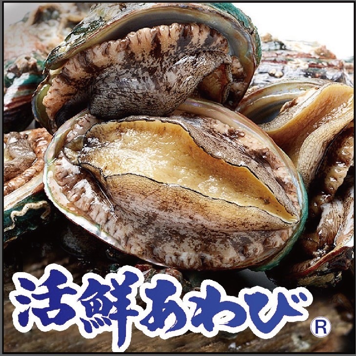 【某チェーン店でも使われている！・食べやすいダイスカット済み！】冷凍あわび 蝦夷アワビ 活鮮あわび 鮮度そのまま急速冷凍 高級あわび 料理 お刺身 BBQ あわびステーキ バター焼き 高級食材生食用