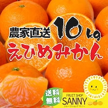 みかん 訳あり 愛媛みかん 箱込10kg+保証分500g 愛媛みかん農家・青果市場から直送！！