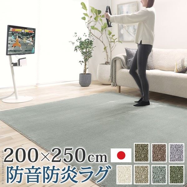ラグカーペット 防音防炎ラグ 長方形 エイヴァ 200x250cm 多機能 高級 無地 日本製 カットオーダー