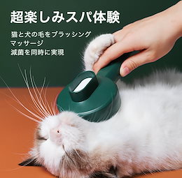 Qoo10  猫ベッドのおすすめ商品リスト(ランキング順) : 猫ベッド買う 