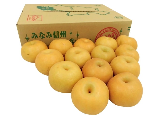 長野産 =南水梨 優糖生= 大玉10-16玉前後 約5kg 予約 9月下旬以降 5,724円