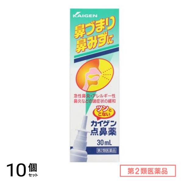 第２類医薬品 カイゲン点鼻薬 30mL 10個セット