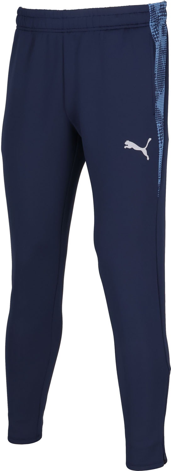 PUMA(プーマ) 660106 TEAMCUP TR パンツ チームカップ TEAMCUP TR パンツ メンズ 男性 大人 ボトムス ロングパンツ ジャージ トレーニング 練習 クラブ 部活 ドラ