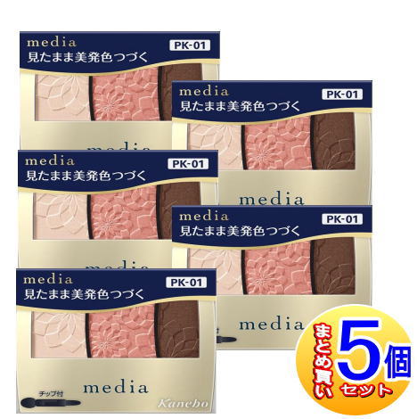 【5個セット】カネボウ メディア グラデカラーアイシャドウＮ PK-01 3.1g【小型宅配便】