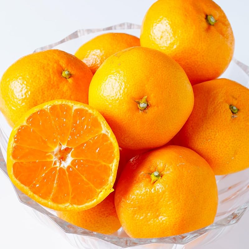 美味いとこどり 高糖度 みかん 和歌山県産 赤秀 有田ミカン (5kg) お歳暮 のし対応可能