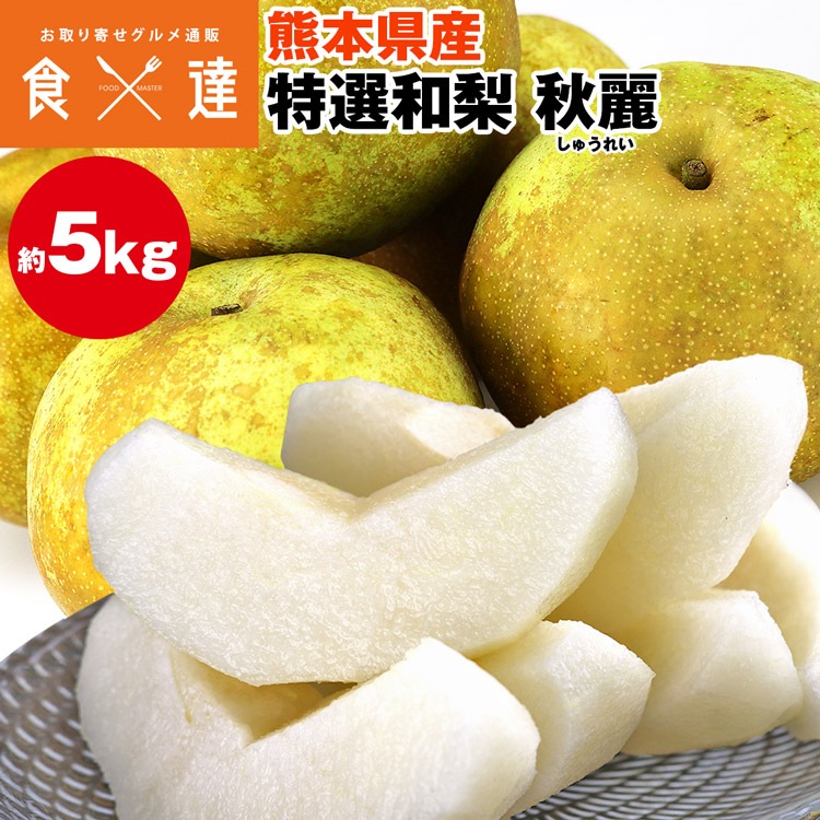 梨 秋麗梨 5kg 希少 レア 幻の梨 10-20玉 青梨以上 M-5Lサイズ 熊本県産 和梨 しゅうれい ナシ 冷蔵便 同梱不可 指定日不可
