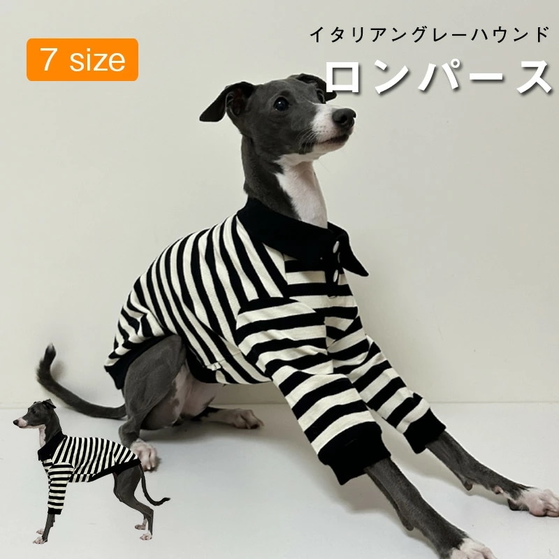 【お買い物祭！全品P5+5%OFF】イタグレ 服 ポロシャツ ラガーシャツ イタリアングレイハウンド デカピン デカグレ ベドリントンテリア ウィペット ドッグウェア 犬 服 5,338円