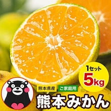 速攻出荷 みかん 約 5kg 訳あり 熊本ミカン 大玉 小玉 不選別 規格外 果物 柑橘 九州 訳アリ 蜜柑 【3-7営業日以内に出荷（土日祝除く）】