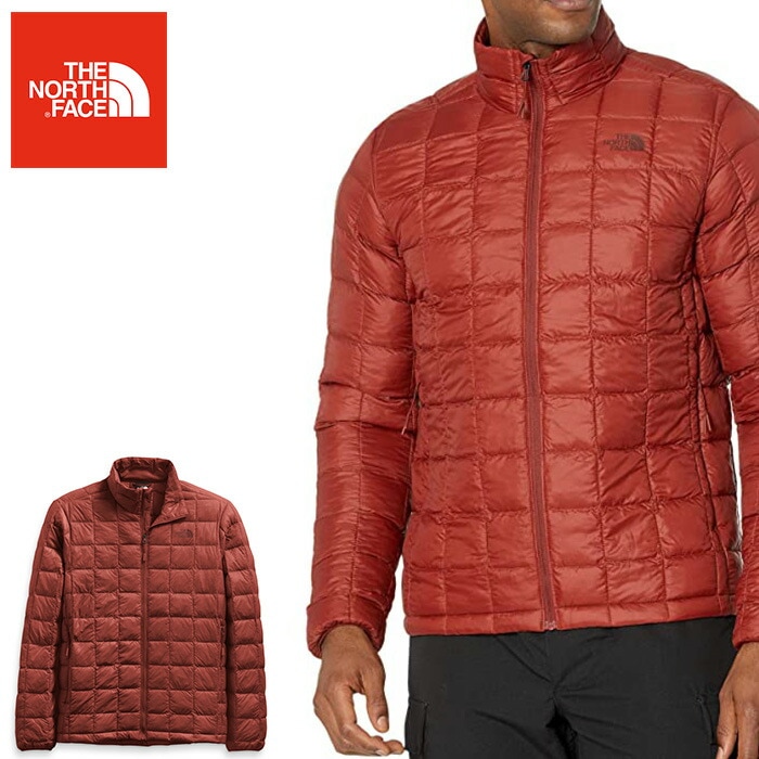 USA企画 日本未発売 THE NORTH FACE メンズ ダウンジャケット fa150