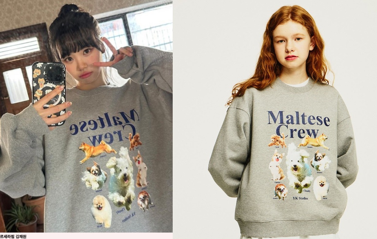 [LE SSERAFIM キム・チェウォン 着用]マルチーズクルーネックスウェットシャツ 2カラー