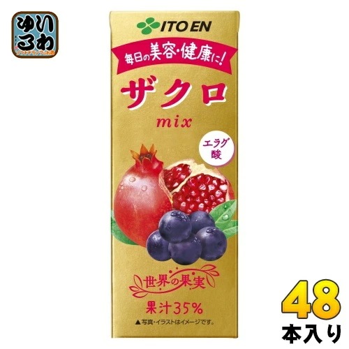 伊藤園 ザクロmix 200ml 紙パック 48本 (24本入×2 まとめ買い) 送料無料 ポリフェノール 無添加 ざくろ ザクロ エラグ酸