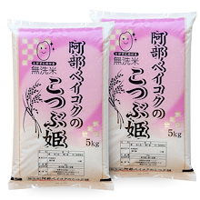 無洗米 10kg こつぶ姫 (5kgｘ2袋) 国内産