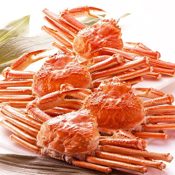 (身入り抜群のA級品 )カナダ産ボイルズワイガニ姿・約750g×4尾 冷凍ズワイ蟹