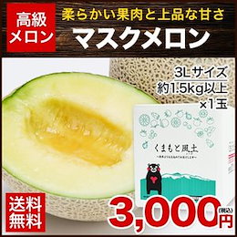 【 ギフト プレゼント 】 送料無料 熊本産 マスクメロン 1玉【秀品:3Lサイズ】1玉約1.2kg以上《7-14営業日以内に出荷予定(土日祝日除く)》