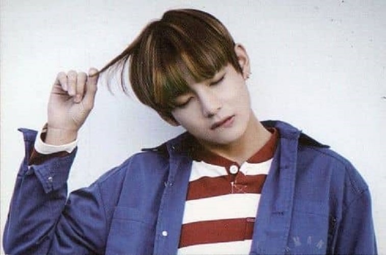 BTS（防弾少年団） 公式グッズ 2015 BTS LIVE 花様年華 on stage ミニフォトカード V（テヒョン/テテ）