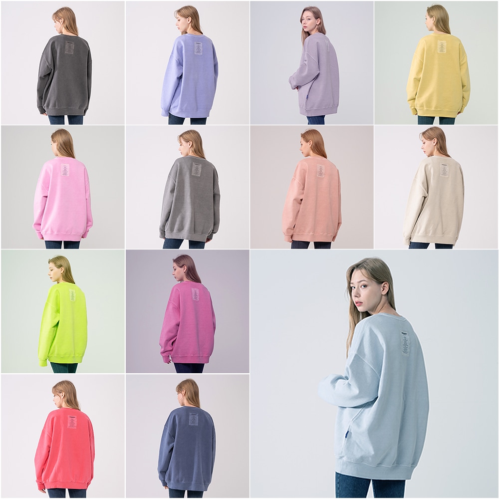 [韓国公式ブランド]PIGMENT HEAVY COTTON LABEL ART X13 COLOR