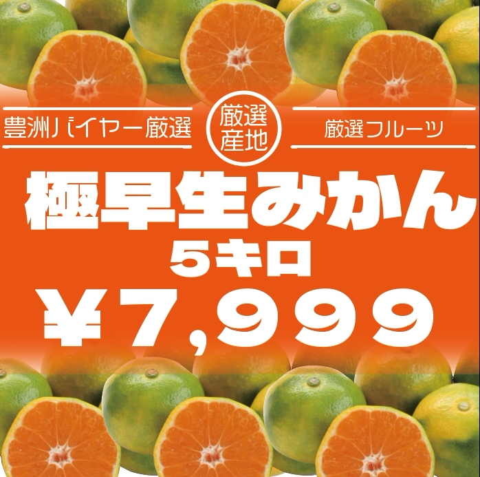 旬の走り!大人気極甘みかん!5キロ!極早生みかん 豊洲市場 みかん 旬