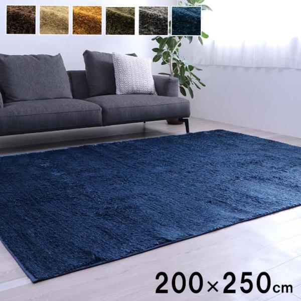 ルフォン カーペット 絨毯 無地ラグ ラグ 長方形 ふわふわラグ 制菌 コンパクト 収納 オールシーズン 滑り止め 床暖房 ホットカーペット対応 洗RFN200250 10,074円