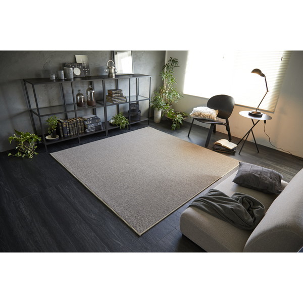 スミノエ アレルブロック ラグ フォルテ 190240cm ベージュ メーカー直送