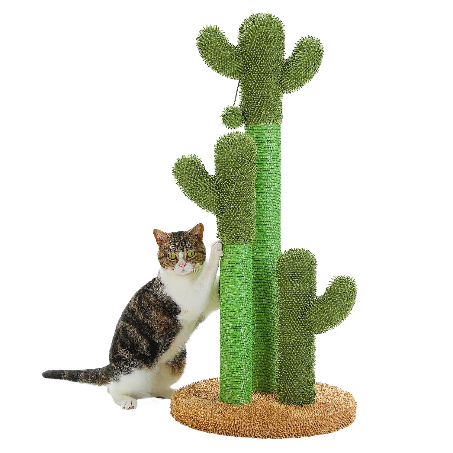 PAWZ Road 猫 爪研ぎポール サボテン 縦型 かわいい 爪研ぎ つめとぎ ネコ おもちゃ キャットタワー ミニ 多頭飼い ケージ用 運動不足 安定 長持ち サイザル麻紐 組立簡単 - 高さ 8