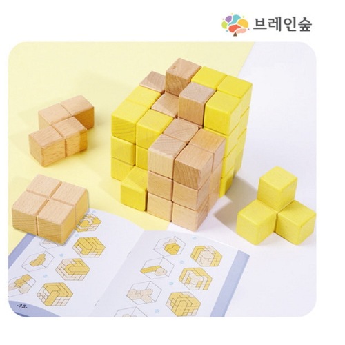 ブレインフォレストソマキューブ444+教材/学校学園教習教区団体創造力
