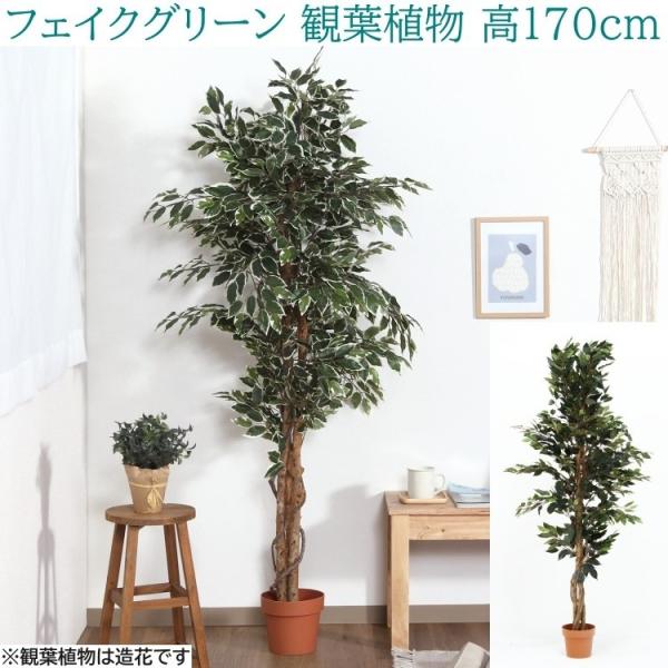 人工観葉植物 高さ170cm 大型 フェイクグリーン 造花 フィカス 室内 ガーデン 観賞用 人工観葉 植物 グリーン