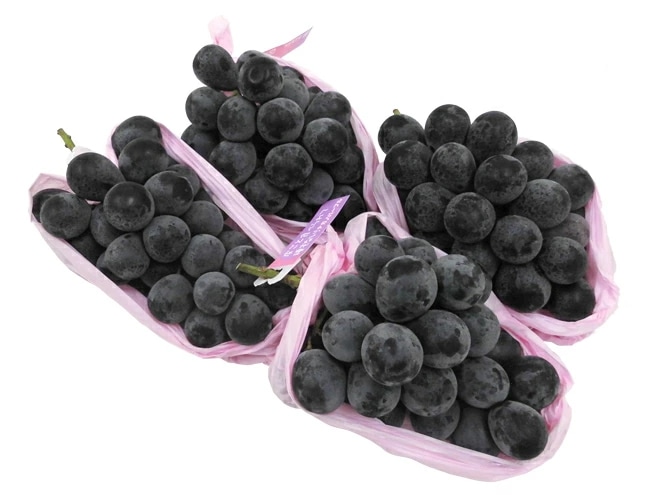 長野産=ナガノパープル= 秀品 3-4房 約2kg ぶどう 予約 9月以降 5,621円