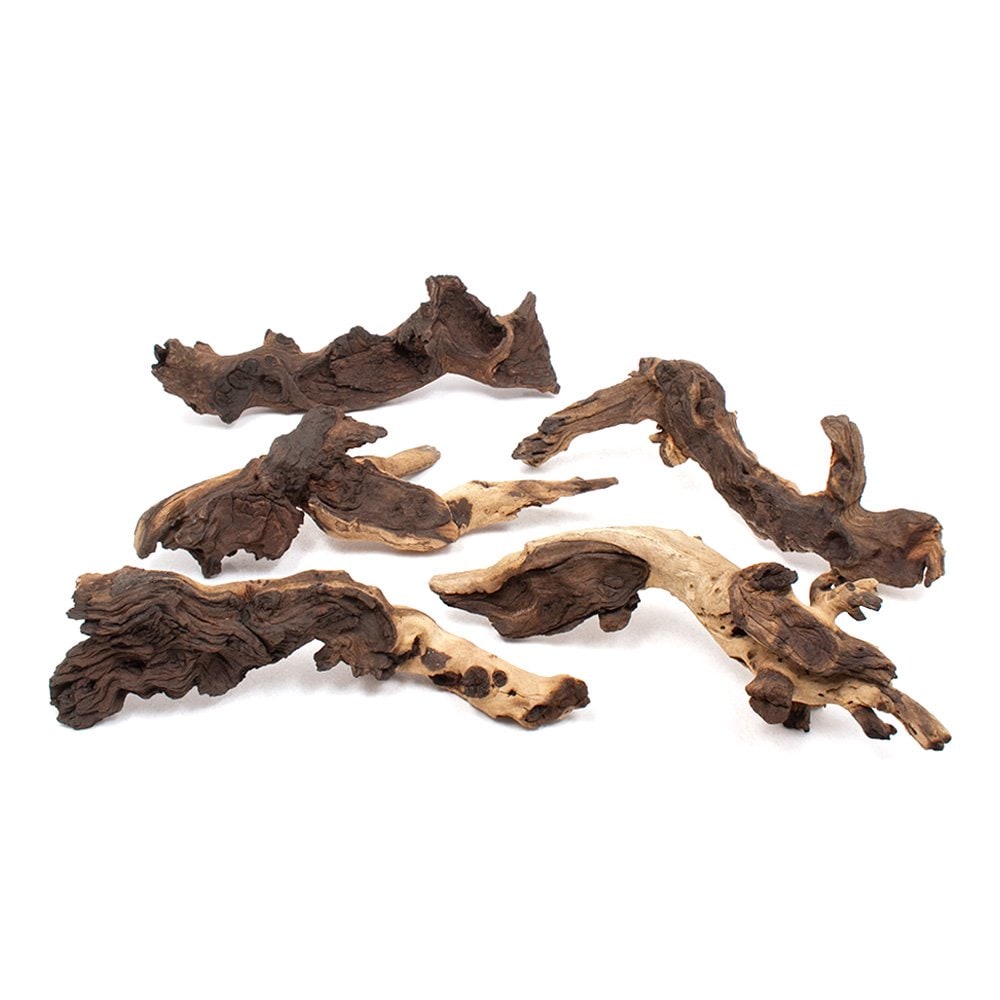 形状お任せ　煮込み済み　モパネウッド　Ｍサイズ（約２５ー３５ｃｍ）　５本　ＣＲＣ21―10―20―20―00