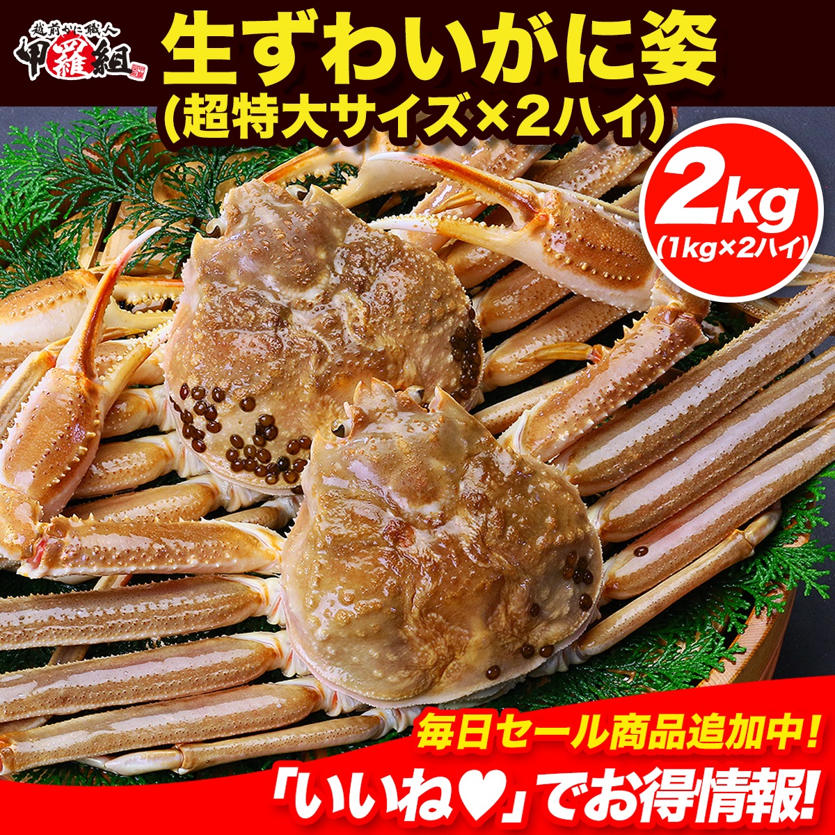 鮮度抜群！生ずわいがに姿 超特大サイズ1kg前後×2ハイ カニ かに 蟹　冷凍 海鮮 通販 魚介 グルメ お取り寄せ　年末年始 お正月 お歳暮 ギフト 父の日