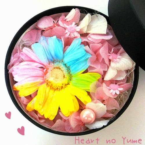 高級プリザーブドフラワーケース入りダイヤモンドレインボーガーベラ　ボックスギフト　お祝い　誕生日結婚祝い　記念品　出産祝い　結婚記念日 　退職祝い　歓送迎会　送別祝い　内祝い　開店祝い