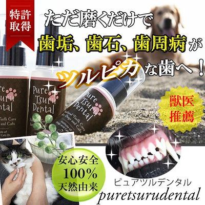 Qoo10 獣医推薦愛犬愛猫の歯垢歯石歯周病が塗るダ ペット