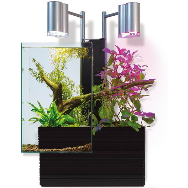 ベムパートナー brio35 60Hz仕様 (ブラック) 32,018円