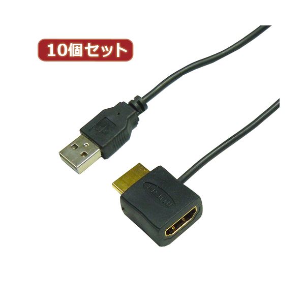 人気カラーの 10個セット HORIC HDMI-USB電源アダプタ HDMI-138USBX10 その他PCケーブル 【重要】6営業日以内（土日祝日除く）の出荷予定:承諾しました。