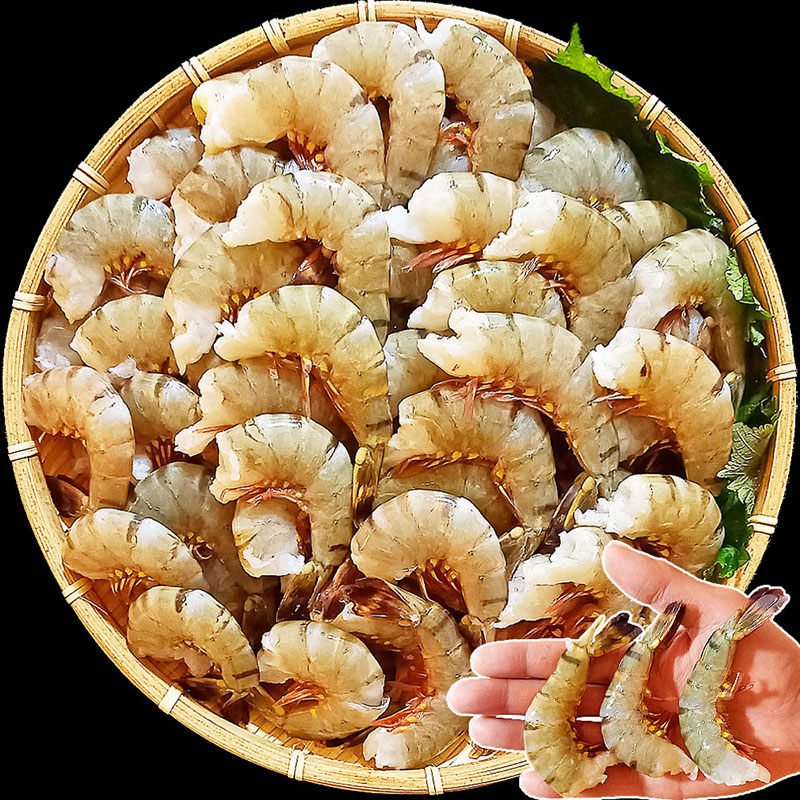 ブラックタイガー エビ 大容量 1.8kg(約72尾) 業務用 無頭殻付 可食部約10cm 冷凍ブロック 冷凍エビ えび 海老 エビフライ