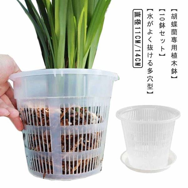 Qoo10] 胡蝶蘭 植木鉢 10鉢セット 透明 穴付