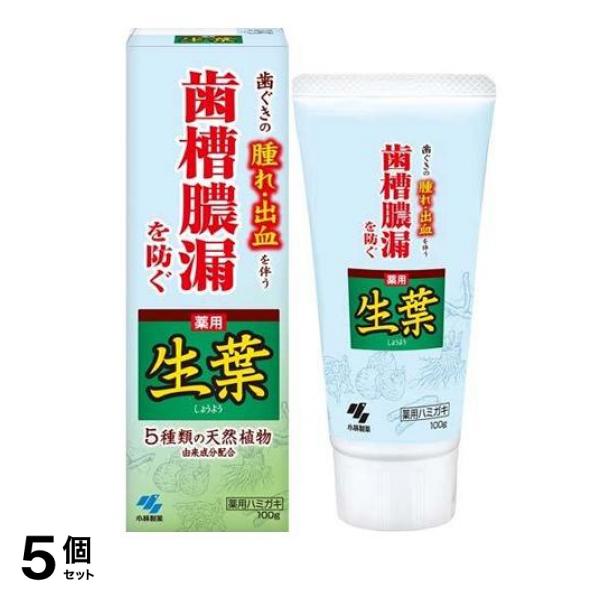 生葉(しょうよう) 100g 5個セット