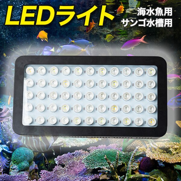 水槽 LED ライト 海水魚 サンゴ 水槽用 165w カスタム 本体 UV6個 バイオレット6個