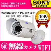 ワイヤレス WiFi 無線 SDカード録画 iPhone スマホ 簡単設定 屋外 屋内 両用 防犯カメラ セキュリティカメラ 監視カメラ ネットワーク IPカメラ 210万画素 HD高画質 防水防滴防塵 赤外線 暗視 P2P 遠隔監視 リモート モーション 動き探知 1年保証