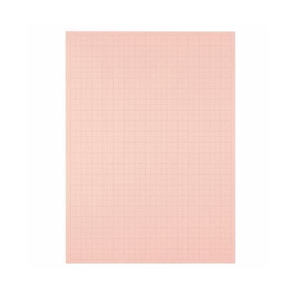 （まとめ） TANOSEE 模造紙（プルタイプ） 本体 7881085mm 50mm方眼 ピンク 1ケース（20枚） 5セット
